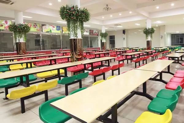 寿光小学采购食品安全茄子视频APP懂你更多仪